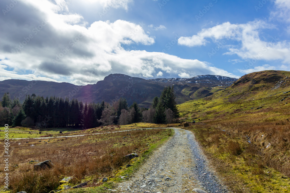 A view of a mountain path with pine trees and mountain summit in the background under a majestic blue sky and white clouds