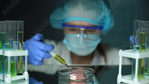 Scientist injecting yellow liquid in chicken meat, parasites analysis, infection
