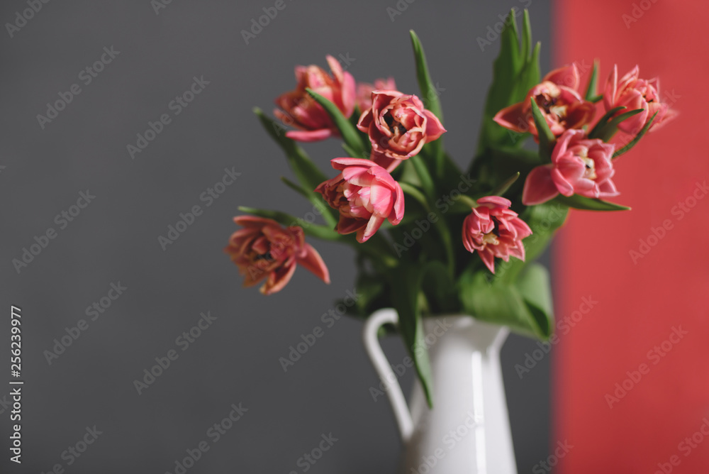 A bouquet of pink peony tulips in a white jug. A bouquet of pink peony tulips in a white jug.