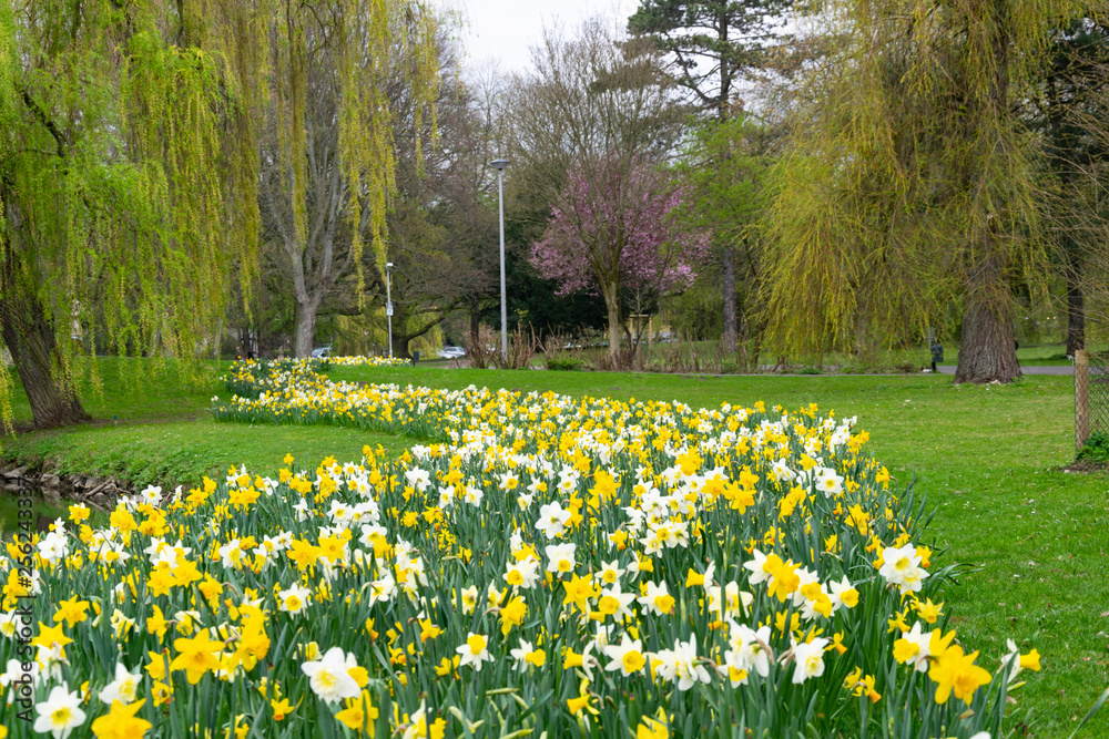 Obraz premium Spring in Buerger Park
