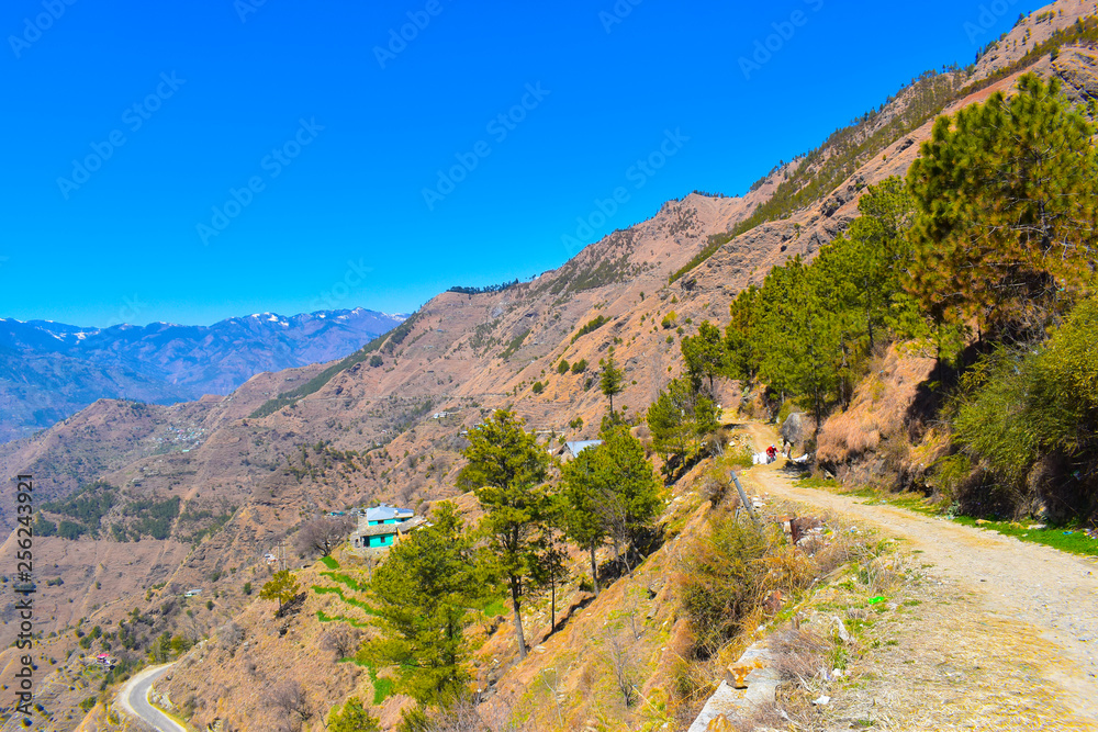 Village road at hills of himachal pradesh Village road at hills of himachal pradesh