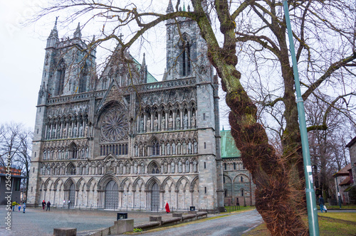 Side view of the famous Nidaros Cathedral, Trondheim, Norway photo