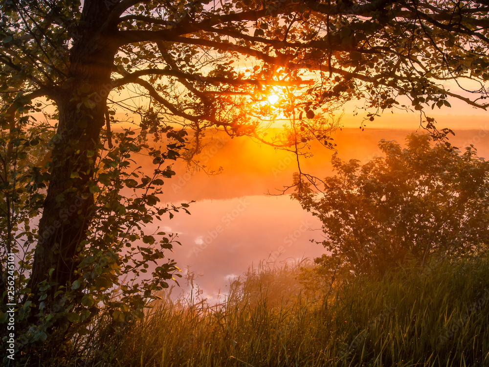 Rising sun illuminates banks and water of a small country river making morning dew sparkle on the grass Rising sun illuminates banks and water of a small country river making morning dew sparkle on the grass