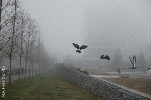 Foggy Thessaloniki with a know Hotel in background.