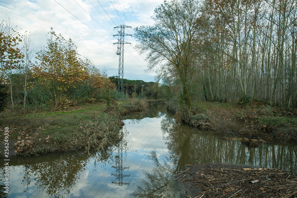 Fototapeta premium Sils wetlands