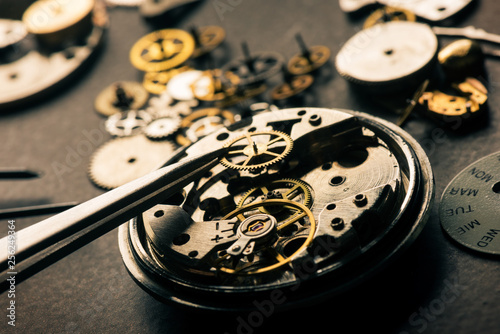 many parts of mechanical wristwatch photo