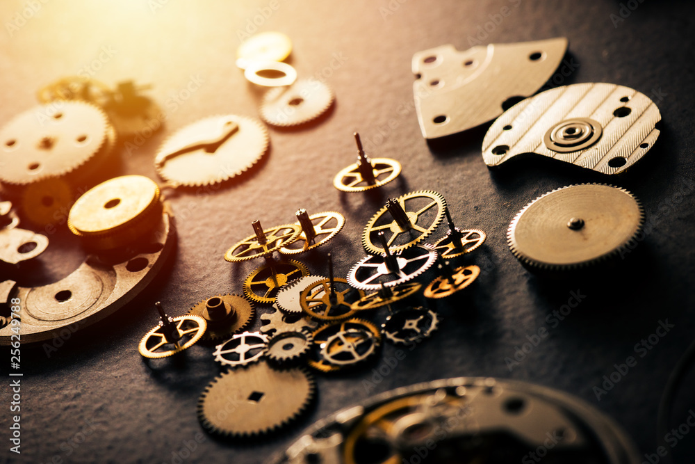 many parts of mechanical wristwatch many parts of mechanical wristwatch