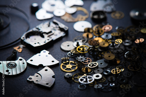 many parts of mechanical wristwatch