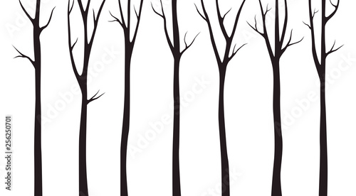 Birch tree wood silhouette on white background © Pure Imagination