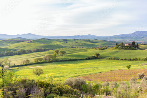 Rustic Tuscan landscape in Italy
