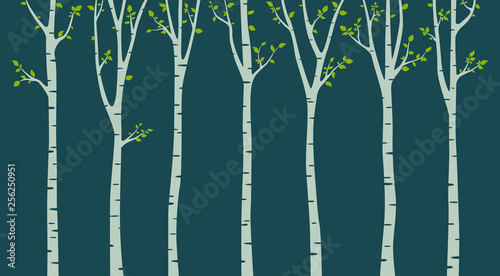 Birch tree with birds silhouette on green background