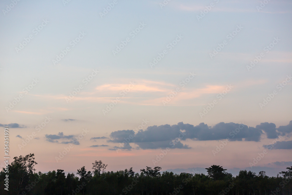 Fototapeta premium scence of beautiful sunset