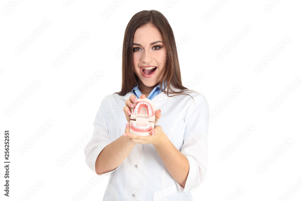 Young doctor holding teeth model on white background Young doctor holding teeth model on white background