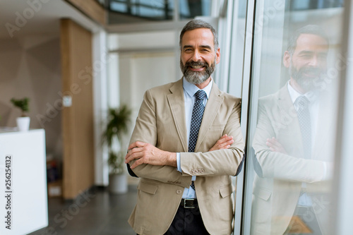 Portrait of handsome senior businessman photo