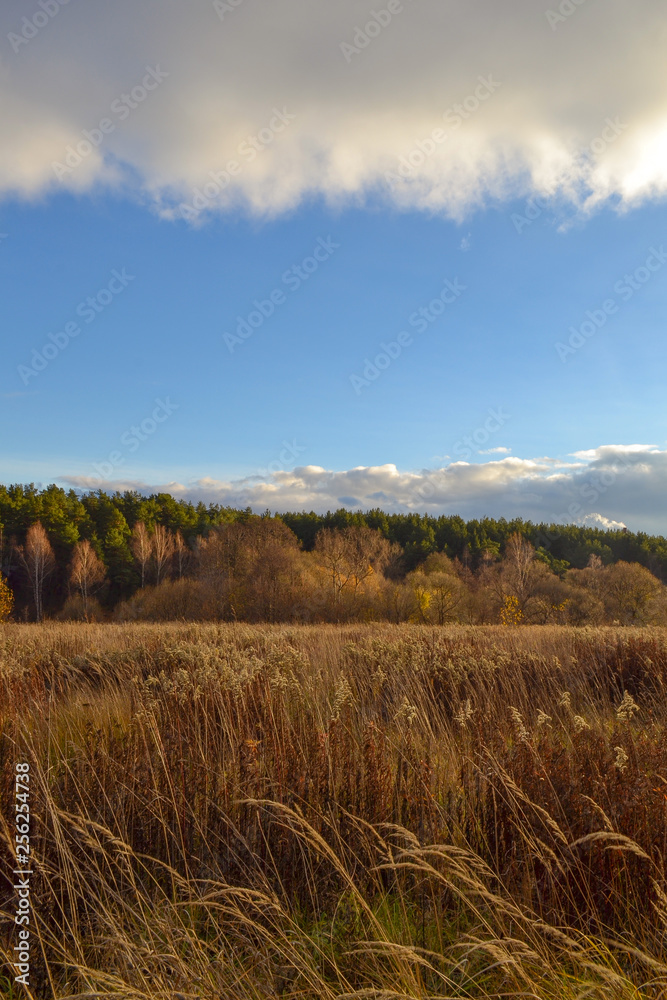 Obraz premium Wide steppe valley with yellow grass under cloudy sky, Russia
