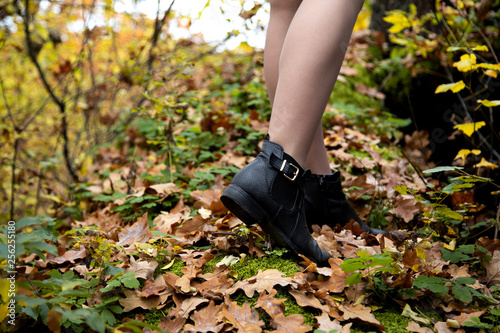 Close-up shot of beautiful female legs in black shoes, which stand in the forest on a worn out leaves and moss in autumn