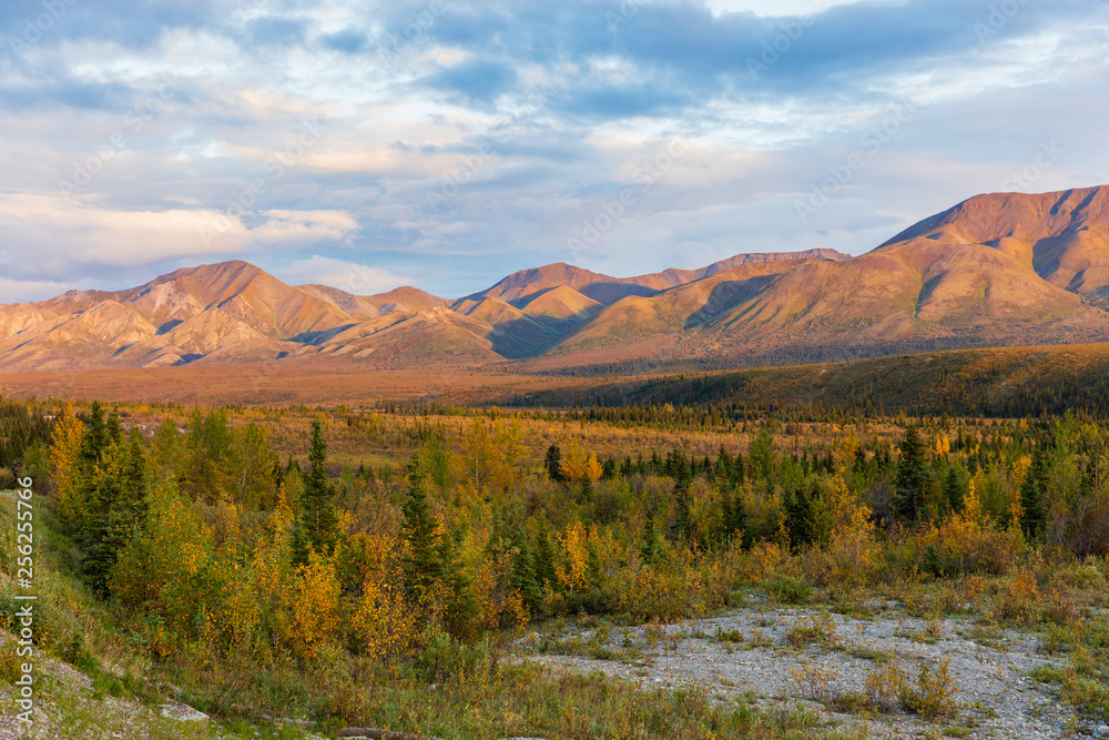Scenic Autumn Landscape in Denali National Park Alaska