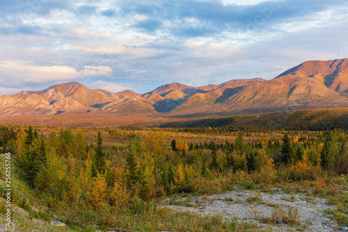 Scenic Autumn Landscape in Denali National Park Alaska
