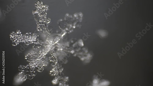 blurred snowflake becomes sharp