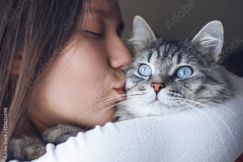 Fototapeta Naklejka Na Ścianę i Meble -  Young beautiful woman at home kissing and hug her lovely fluffy cat. Gray tabby cute kitten with blue eyes. Pets, friendship, trust, love, lifestyle concept. Friend of human. Animal lover. Close up.