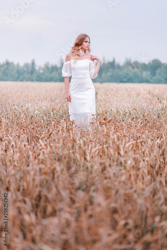 Bride in a white dress posing on a background of wheat