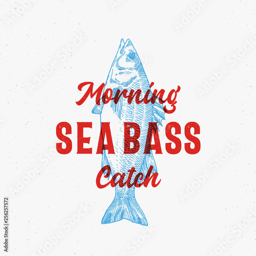 Morning Catch Sea Bass Abstract Vector Sign, Symbol or Logo Template. Hand Drawn Seabass with Classy Retro Typography. Vintage Vector Emblem with Retro Print Effect.