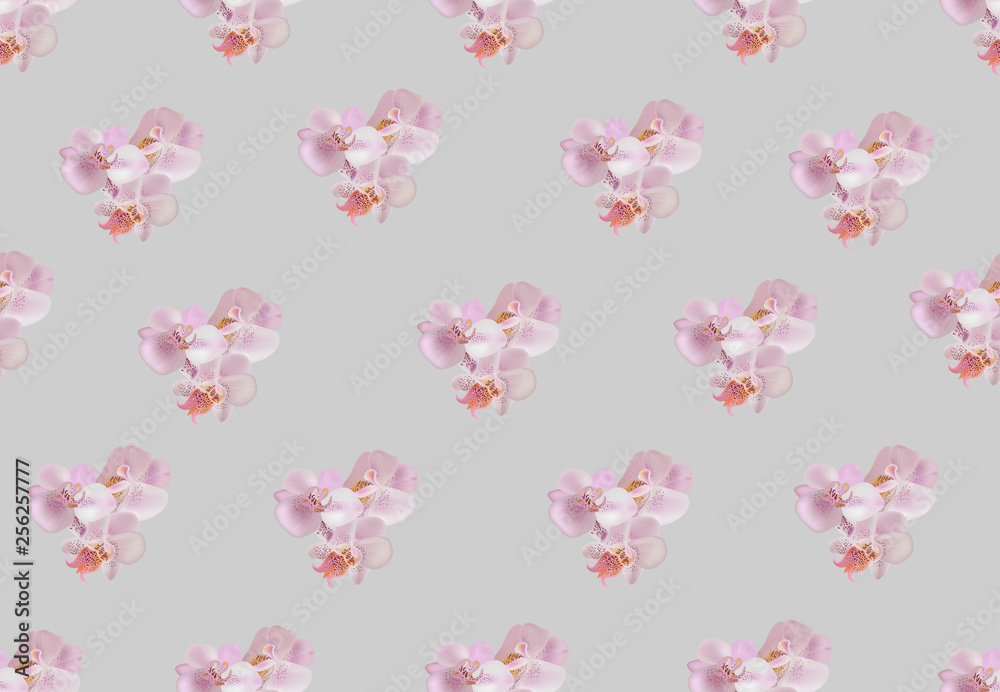 Vector seamless pattern with gentle pink orchids.