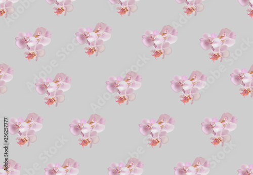 Vector seamless pattern with gentle pink orchids.