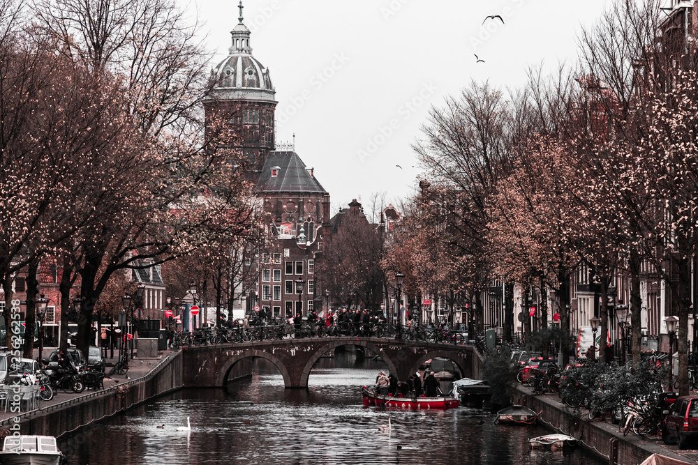 Fototapeta premium amsterdam in netherlands