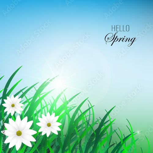 abstract background with green grass and flowers © Nikolas