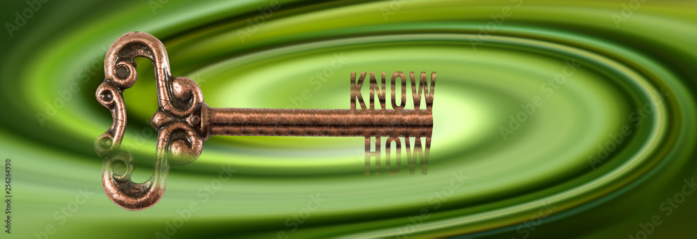 Fototapeta premium key as a symbol of know-how on a green background