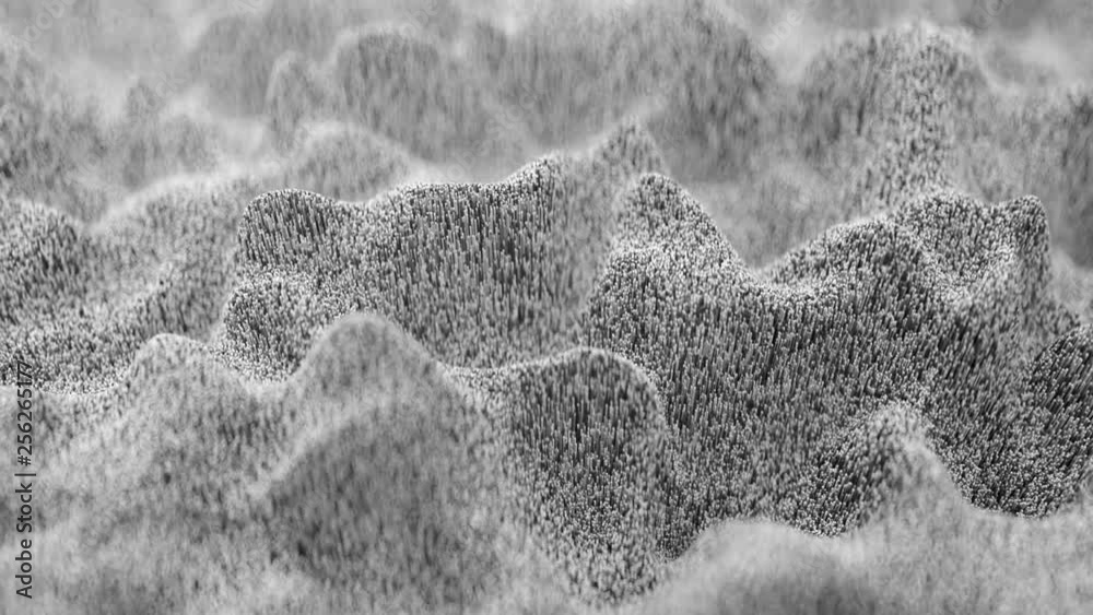 4K Abstract Topographic Waveform. 3D CGI Animation. Seamless Loop.