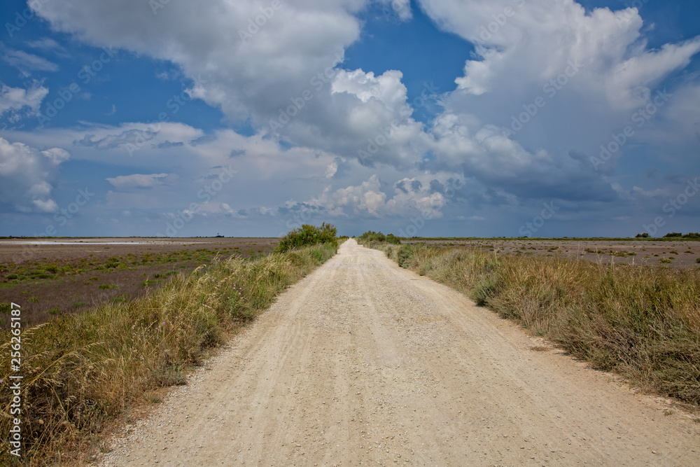 On the way to the lighthouse La Gacholle. Between two lakes - Étang du Fangassier and Étang de Galabert, Camargue, Provence, Bouches-du-Rhône, France