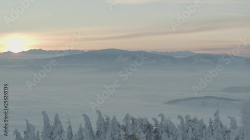 Wallpaper Mural Aerial drone view of sunrise in snowy mountains over clouds and white trees in winter  Torontodigital.ca