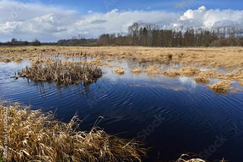 Brennermoor photo