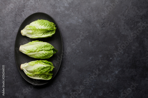Bilde på lerret Mini romaine lettuce salad