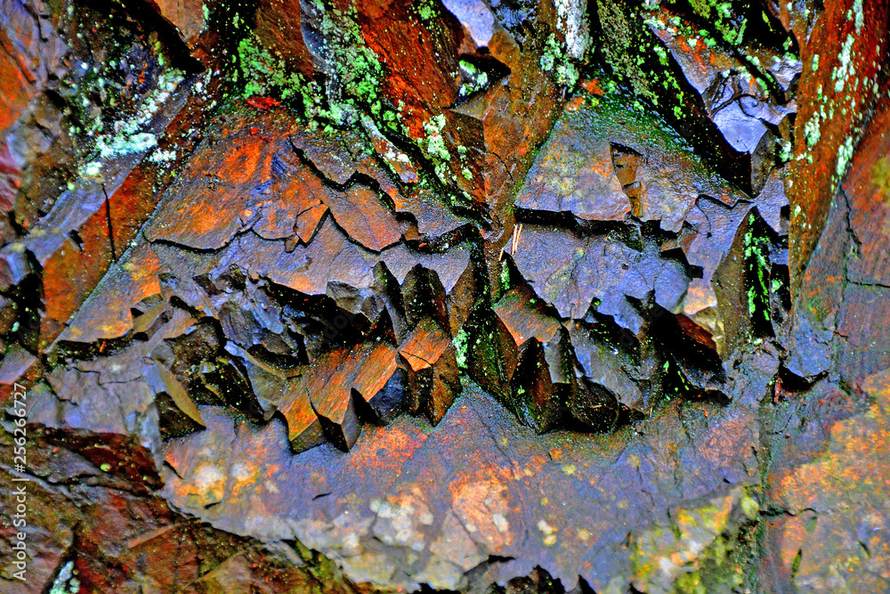 Obraz premium Versteinert