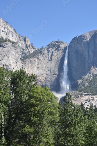 Yosemite National Park, CA., U.S.A. June 25, 2017. Yosemite Falls seen from the Valley floor meadow from the Southside drive.  Dynamic Upper and Lower Yosemite Falls peak water fall. photo