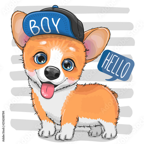 Cartoon Dog Corgi in a cap