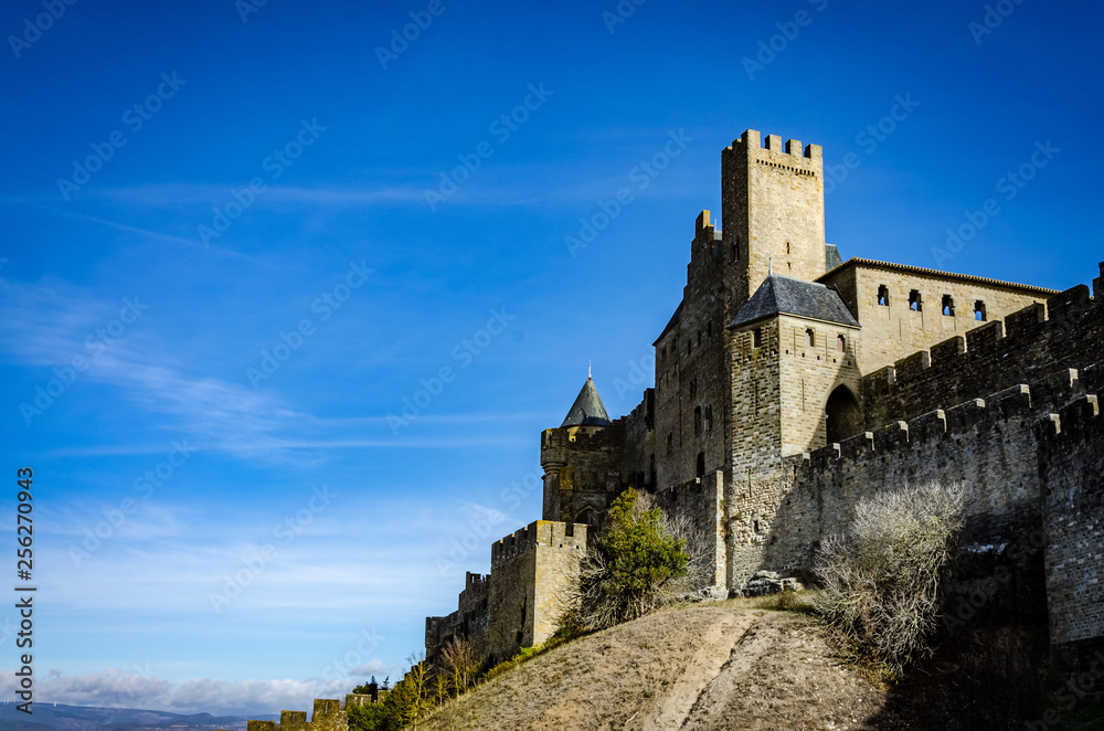 Castillo medieval