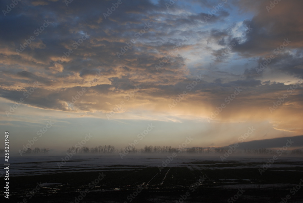 Fototapeta premium spring bad weather