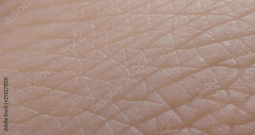 The texture of the skin. Human skin. Macro photo. Close up.