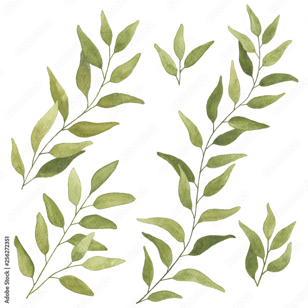 Watercolors hand leaves set isolated elements on the white background. Floral illustration. Watercolors hand leaves set isolated elements on the white background. Floral illustration.