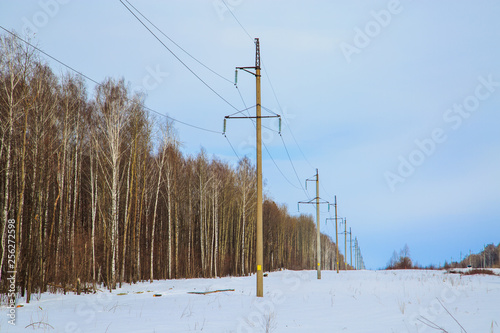 Power lines running along the edge of the forest