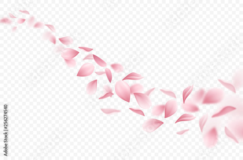Sakura Realistic Background