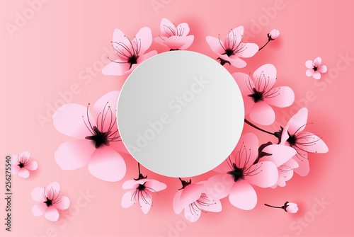 illustration of paper art and craft white circle spring season cherry blossom concept,Springtime with sakura branch, Floral Cherry blossom with pink flowers on place text space background,vector.