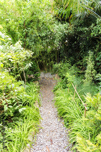 The path to the garden.