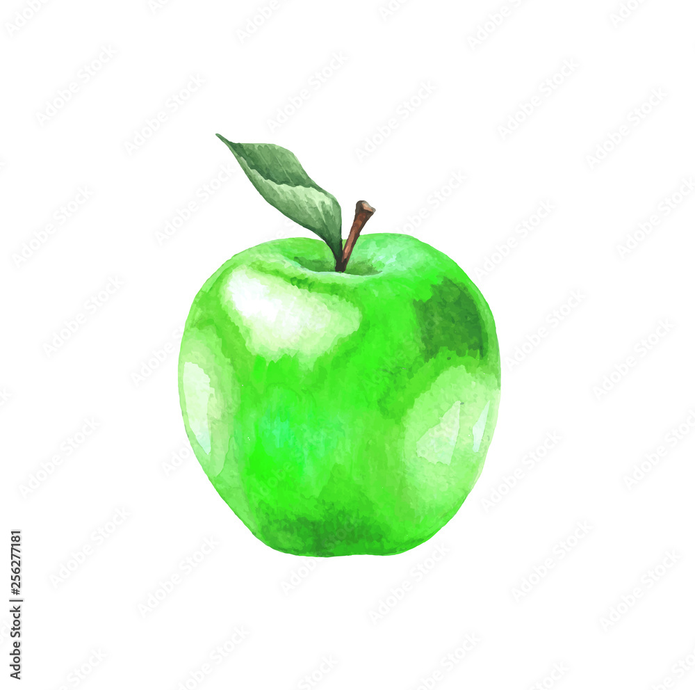 Green apple with a leaf. Illustration of a sweet fruit on a white background. Isolated drawing.