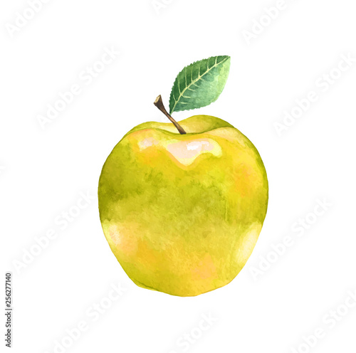 Watercolor yellow apple with leaf. Illustration of a sweet fruit on a white background. Isolated drawing.