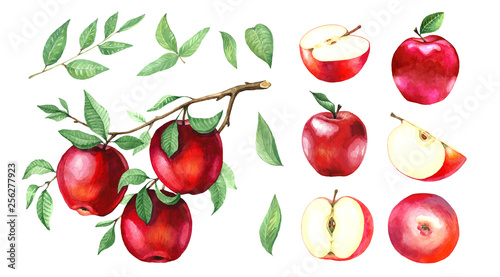 Foto A large collection of watercolor red apples.